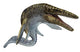 Illustration Mosasaurus from Cretaceous Wall Decal