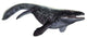Illustration Prognathodon from Prehistoric Wall Decal