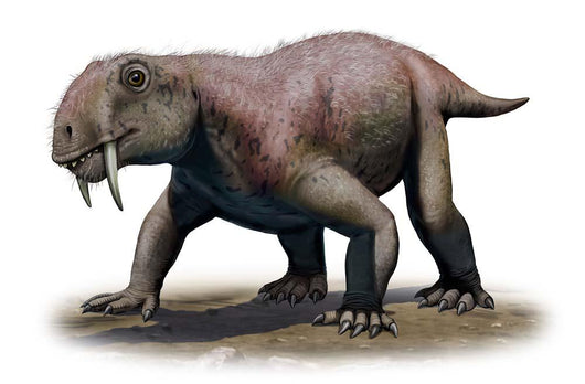 Tiarajudens Eccentricus from Paleozoic Wall Decal