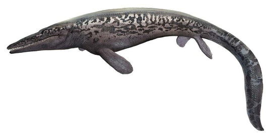 Illustration Tylosaurus from Prehistoric Wall Decal