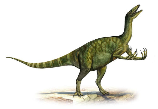 Deinocheirus Mirificus Prehistoric Era Wall Decal