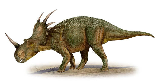 Styracosaurus Albertensis Prehistoric Era Wall Decal