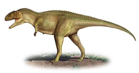 Tarascosaurus Salluvicus Prehistoric Era Wall Decal