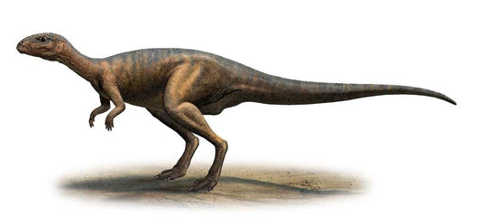 Dryosaurus Altus Prehistoric Era Wall Decal