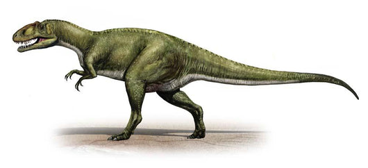 Sinraptor Dongi Prehistoric Era Wall Decal