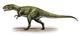 Sinraptor Dongi Prehistoric Era Wall Decal