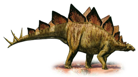 Stegosaurus Armatus Prehistoric Era Wall Decal