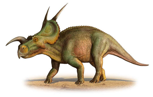 Einiosaurus Procurvicornis Prehistoric Era Wall Decal