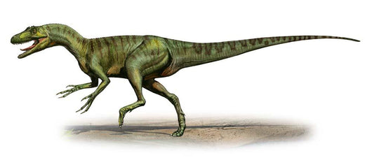 Deltadromeus Agilis Prehistoric Era Wall Decal