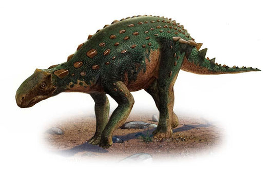 Minmi Paravertebra Prehistoric Era Wall Decal
