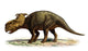 Pachyrhinosaurus Canadensis Prehistoric Era Wall Decal