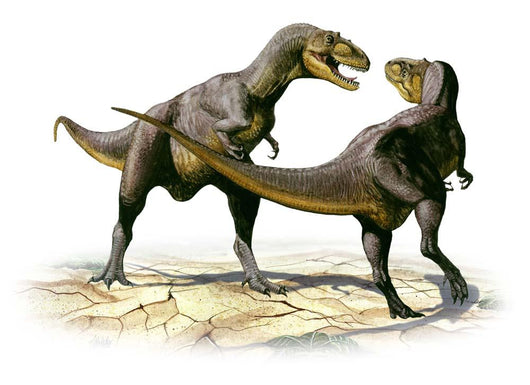 Alectrosaurus Olseni Prehistoric Dinosaur Wall Decal