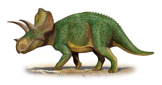 Ojoceratops Fowleri Prehistoric Era Wall Decal