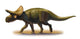 Turanoceratops Tardabilis Prehistoric Era Wall Decal
