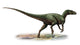 Australovenator Wintonensis Prehistoric Era Wall Decal
