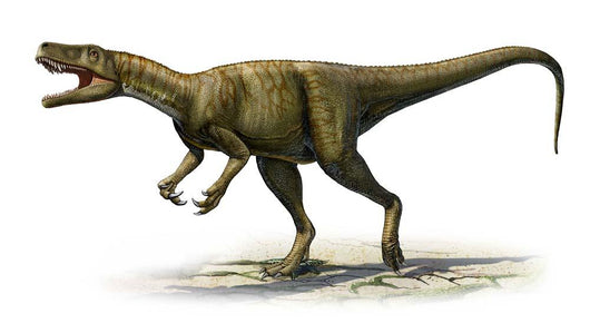 Herrerasaurus Ischigualastensis Prehistoric Era Wall Decal