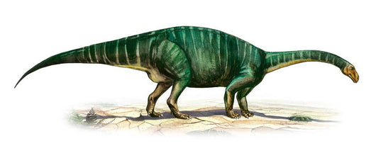 Plateosaurus Engelhardti Prehistoric Era Wall Decal