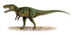 Torvosaurus Tanneri Prehistoric Era Wall Decal
