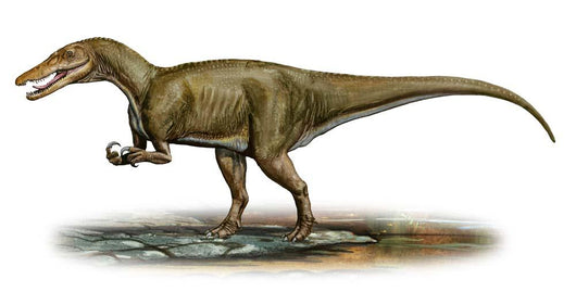 Baryonyx Walkeri Prehistoric Era Wall Decal