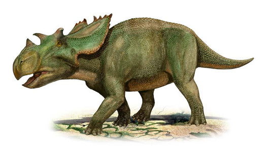 Utahceratops Gettyi Prehistoric Era Wall Decal