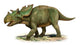 Utahceratops Gettyi Prehistoric Era Wall Decal