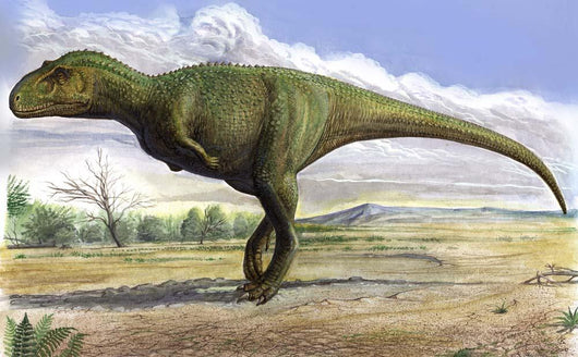 Aucasaurus Garridoi Prehistoric Era Wall Decal