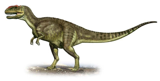 Yangchuanosaurus Shangiouensis Prehistoric Era Wall Decal
