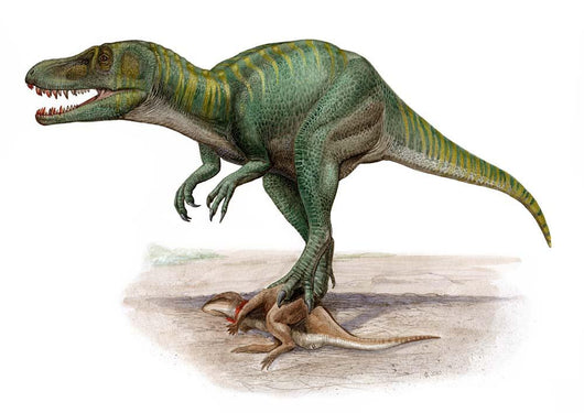 Marshosaurus Bicentesimus Prehistoric Era Wall Decal