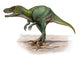 Marshosaurus Bicentesimus Prehistoric Era Wall Decal