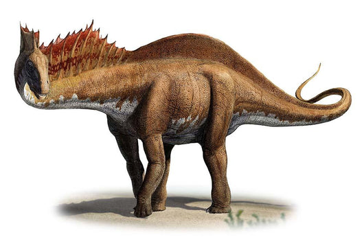Amargasaurus Cazaui Prehistoric Era Wall Decal