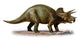 Triceratops Prorsus Prehistoric Era Wall Decal