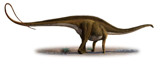 Diplodocus Longus Prehistoric Era Wall Decal