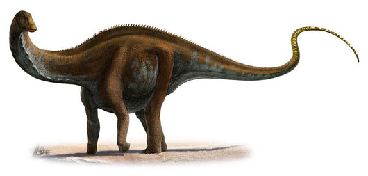Apatosaurus Excelsus Prehistoric Era Wall Decal