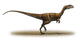 Megapnosaurus Kayentakatae Prehistoric Era Wall Decal