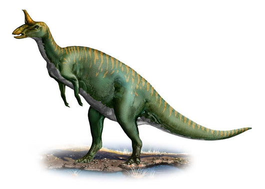 Tsintaosaurus Spinorhinus Prehistoric Era Wall Decal