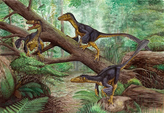 Group Balaur Bondoc Prehistoric Wall Decal