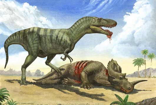 Gorgosaurus Libratus Stands over Wall Decal
