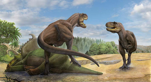 Teratophoneus Dinosaur Defends Its Wall Decal
