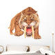Smilodon Growling Wall Decal