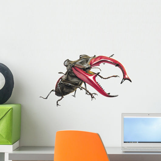 Stag Beetle Climbing Wall Decal