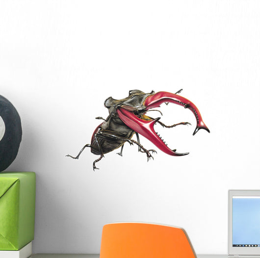 Stag Beetle Climbing Wall Decal