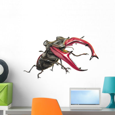 Stag Beetle Climbing Wall Decal shown on a wall