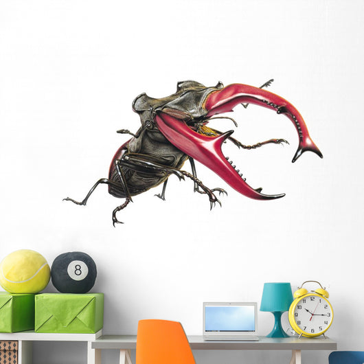 Stag Beetle Climbing Wall Decal