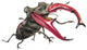 Stag Beetle Climbing Wall Decal