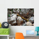 Munitions Found Mountainous Region Wall Decal