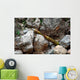 Munitions Found Mountainous Region Wall Decal