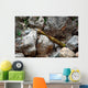 Munitions Found Mountainous Region Wall Decal