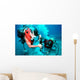 Divers Work to Repair Wall Decal