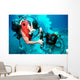 Divers Work to Repair Wall Decal