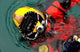 Us Navy Diver Is Wall Decal